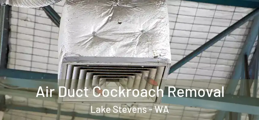  Air Duct Cockroach Removal Lake Stevens - WA