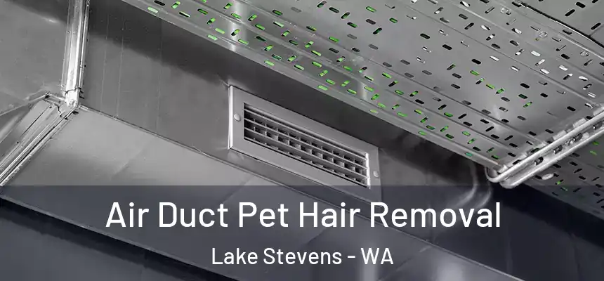  Air Duct Pet Hair Removal Lake Stevens - WA