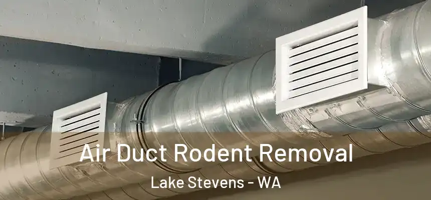  Air Duct Rodent Removal Lake Stevens - WA