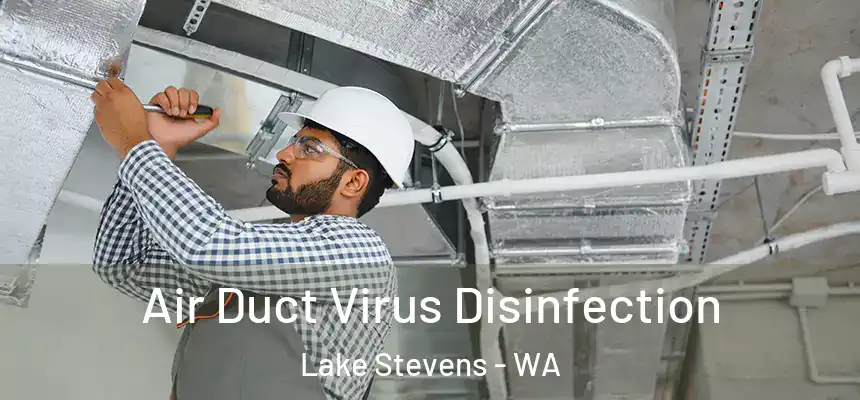 Air Duct Virus Disinfection Lake Stevens - WA