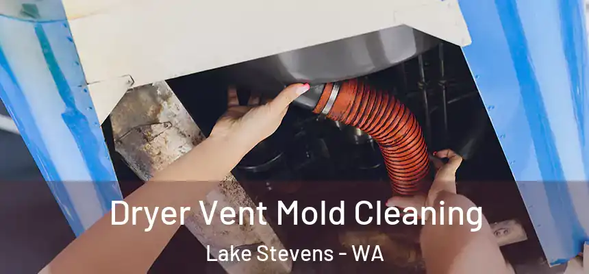 Dryer Vent Mold Cleaning Lake Stevens - WA