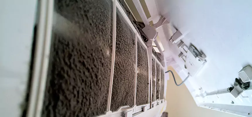 Preventive Air Duct Bacteria Removal in Lake Stevens