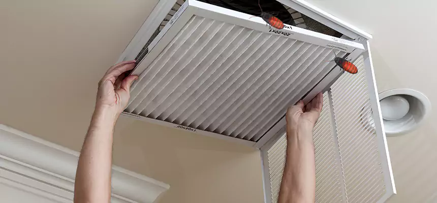 Preventive Cockroach-Proofing for Ducts in Lake Stevens