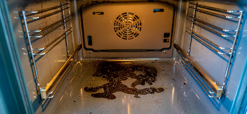 Our Dryer Vent Mold Cleaning Services in Lake Stevens, WA