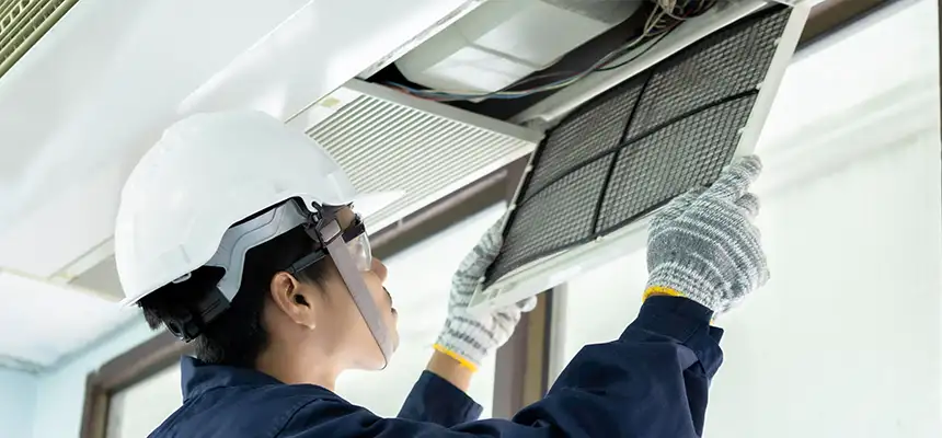 Our Lint Trap Cleaning Service Services in Lake Stevens, WA