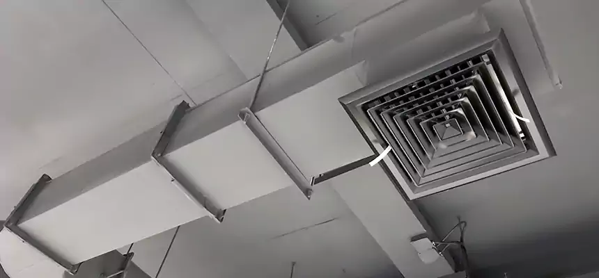 Our Pest Removal From Ducts Services in Lake Stevens, WA