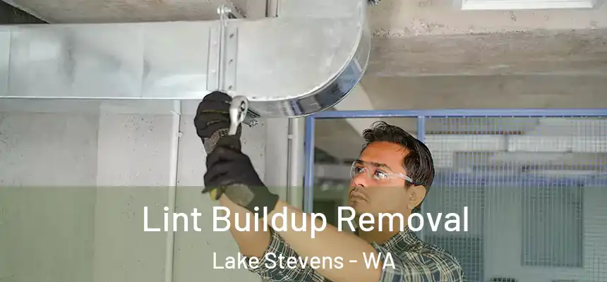 Lint Buildup Removal Lake Stevens - WA
