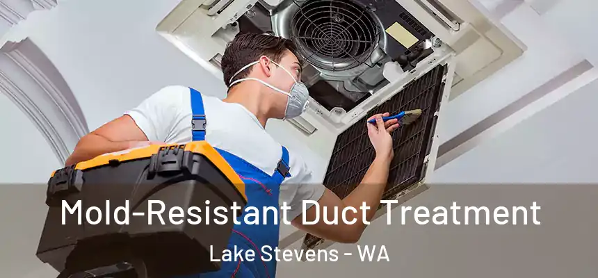  Mold-Resistant Duct Treatment Lake Stevens - WA