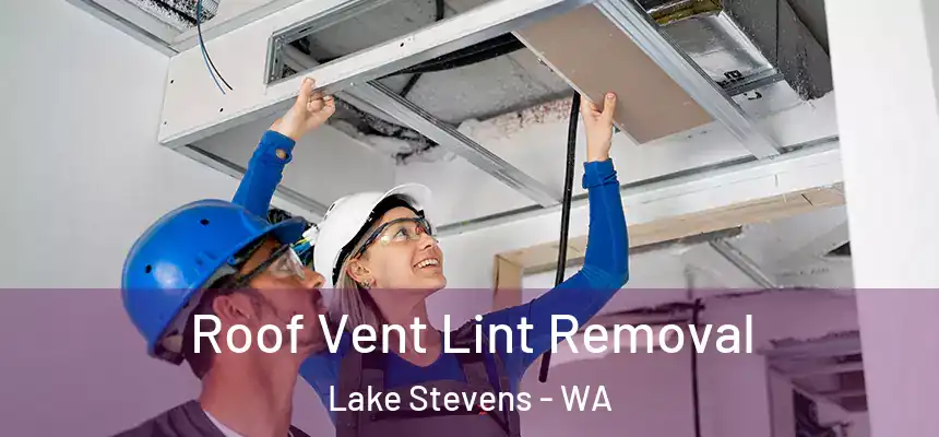  Roof Vent Lint Removal Lake Stevens - WA