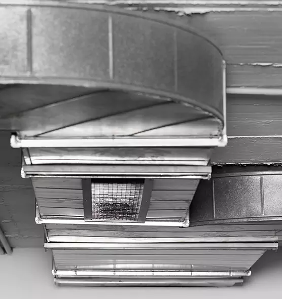 Professional Air Duct Pest Removal in Lake Stevens, WA