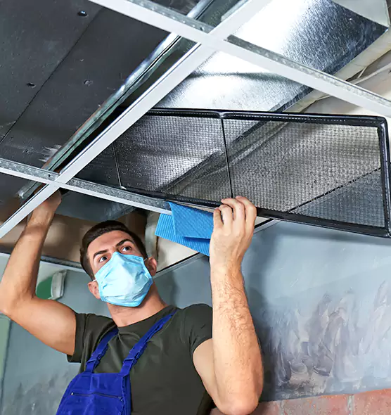 Professional Air Duct Pollen Cleaning in Lake Stevens, WA