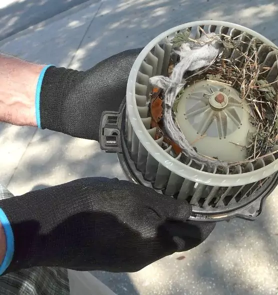 About Air Duct Rat Removal in Lake Stevens, WA