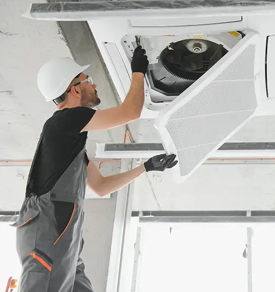 About Air Duct Rodent Removal in Lake Stevens, WA