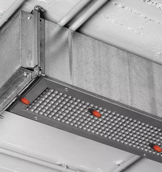 Affordable Insect Removal from Air Ducts in Lake Stevens, WA