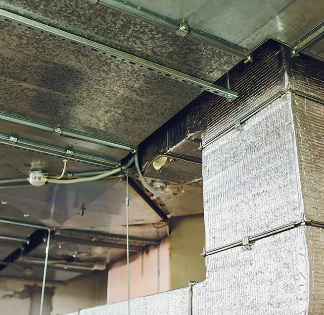 Why Homeowners & Businesses Trust Us in Lake Stevens, WA?