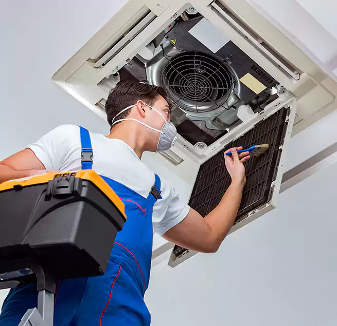 Why Homeowners & Businesses Trust Us in Lake Stevens, WA?